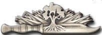 Golani Brigade Beret Pin